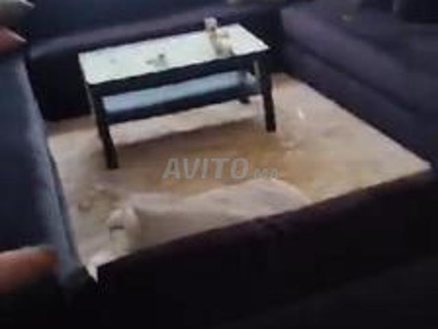 Appartement vente à Gharb-Chrarda-Beni Hssen