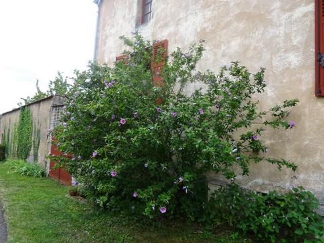 Villa vente à Chalon-sur-Saône, Sampigny-lès-maranges