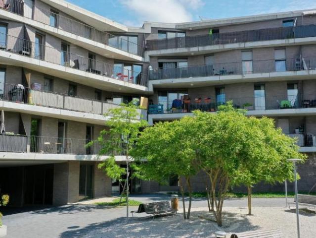 Apartment mieten in Renens, Waadt