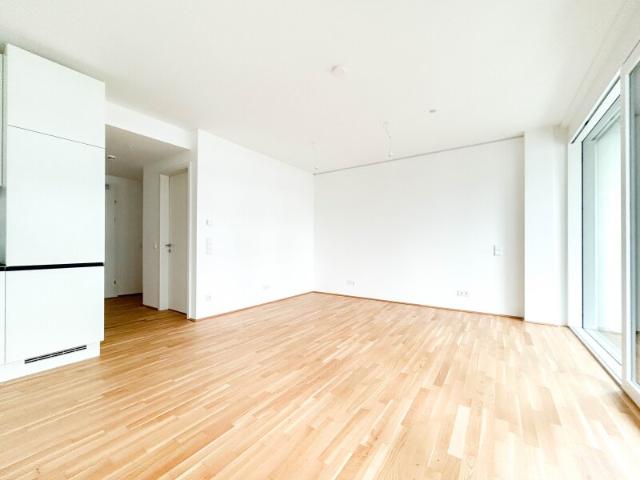 Haus mieten in Donaustadt, Wien