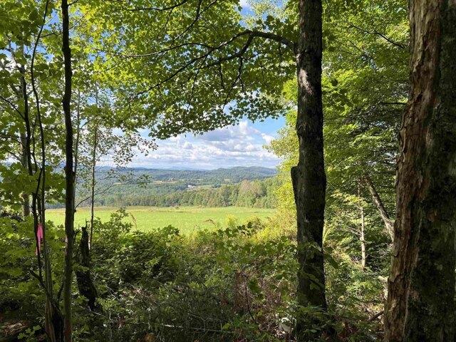 Land for sale in Cabot, Vermont