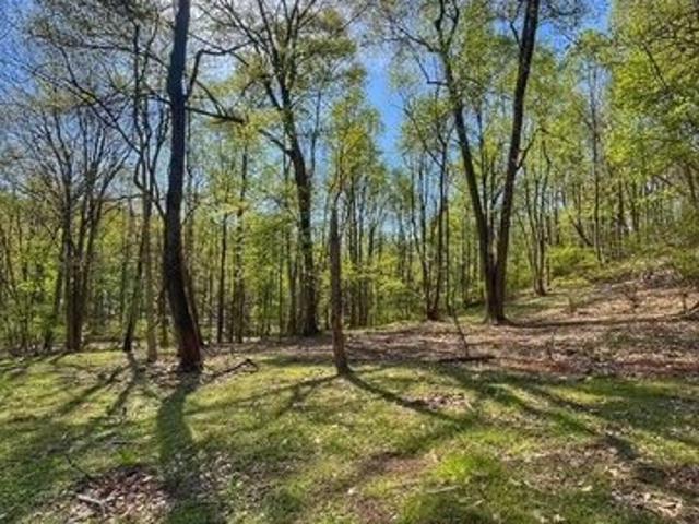 Land for sale in Northumberland, Pennsylvania