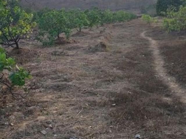 Land for sale in Ratnagiri, National Capital Territory Of Delhi