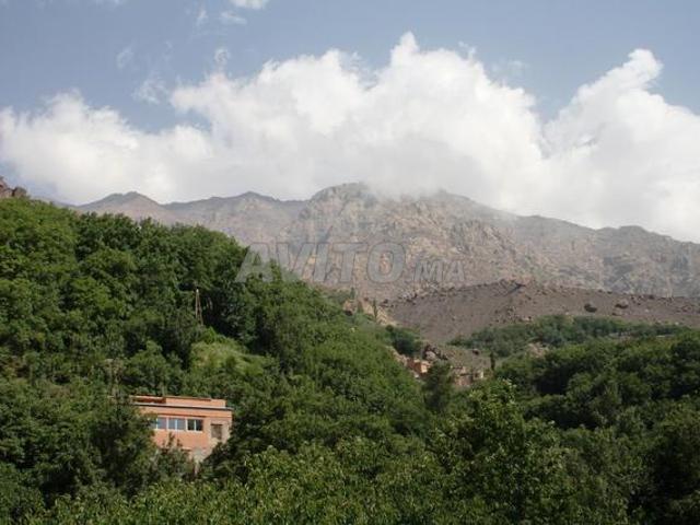 Propriété location à L'Oriental