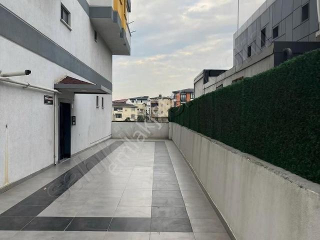 Darica, Kocaeli içerisinde kiralık mülk