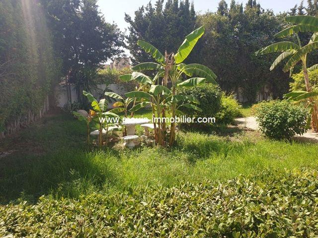 Villa location à Douz