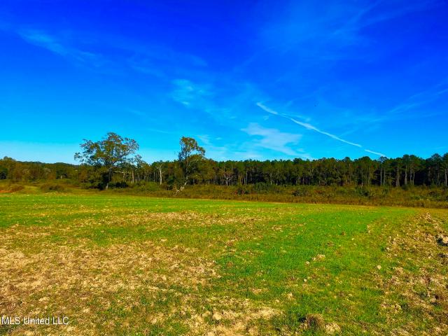 Land for sale in Mississippi