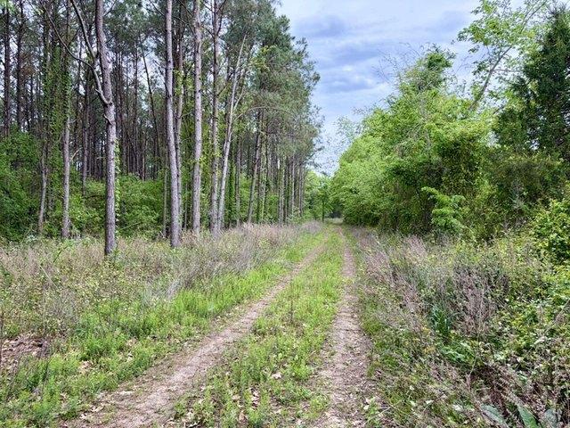 Land for sale in Louisiana