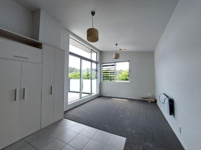 Apartment for rent in Forrest Hill, Oroua County