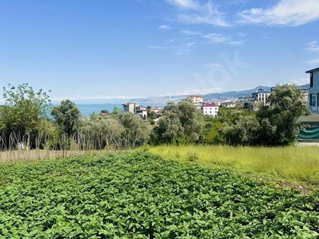 Darıca, Akçaabat içerisinde satılık Arsa