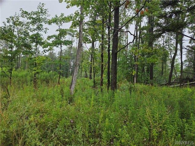 Land for sale in Colden, New York