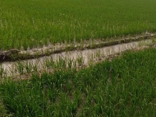 Land for sale in ضلع ملیر, کراچی ڈویژن