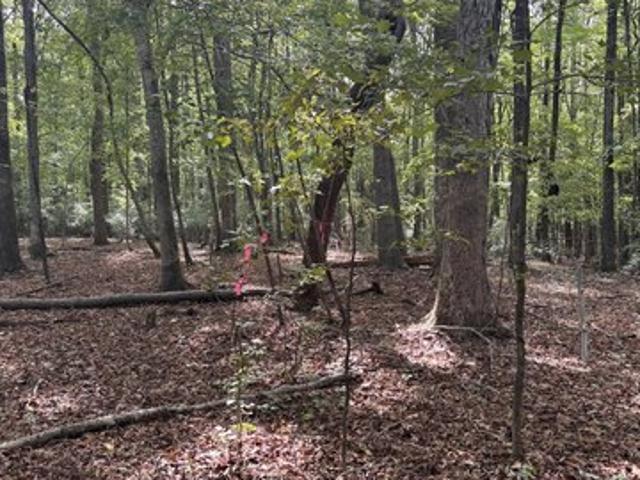 Land for sale in Pittsboro, Chatham County