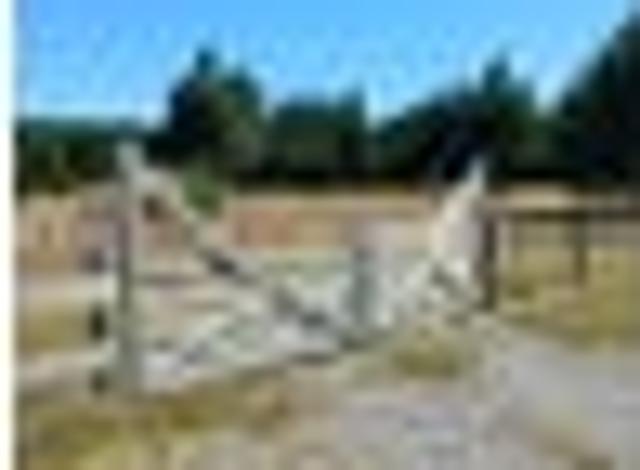 Land for sale in Mackenzie, Canterbury