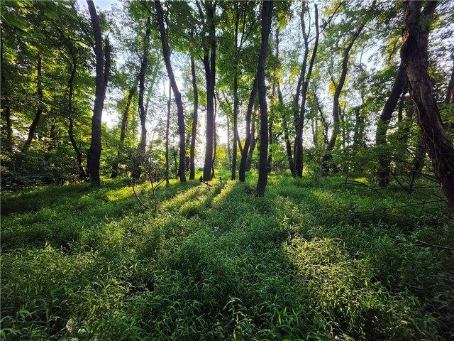 Farm for sale in Belle Vernon, Pennsylvania