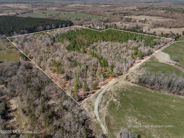 Land for sale in Poplarville, Mississippi
