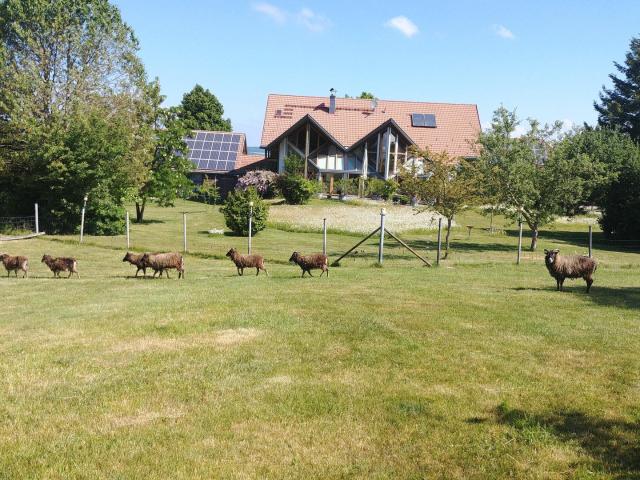 Villa kaufen in Bad Wurzach, Baden-Württemberg