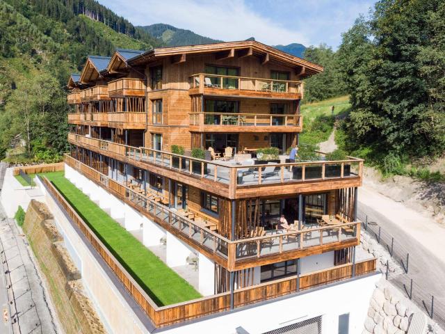 Apartment kaufen in Viehhofen, Salzburg