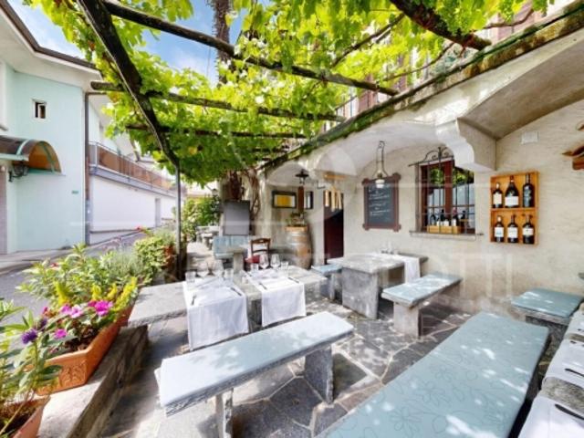 Landwirtschaft kaufen in Orselina, Tessin