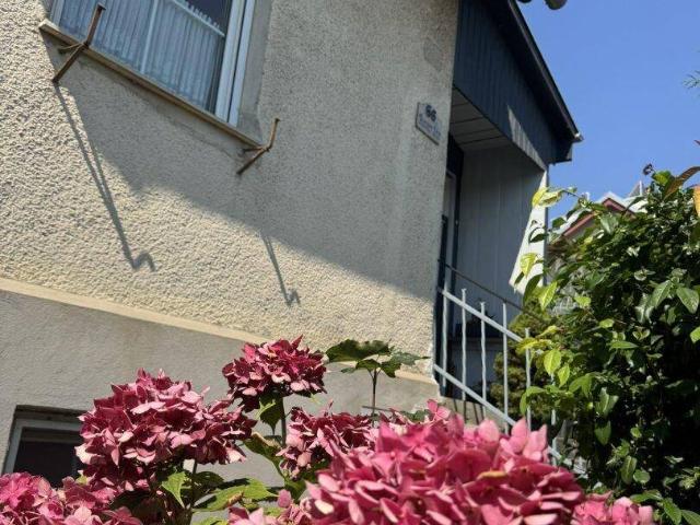 Haus kaufen in Eisenstadt