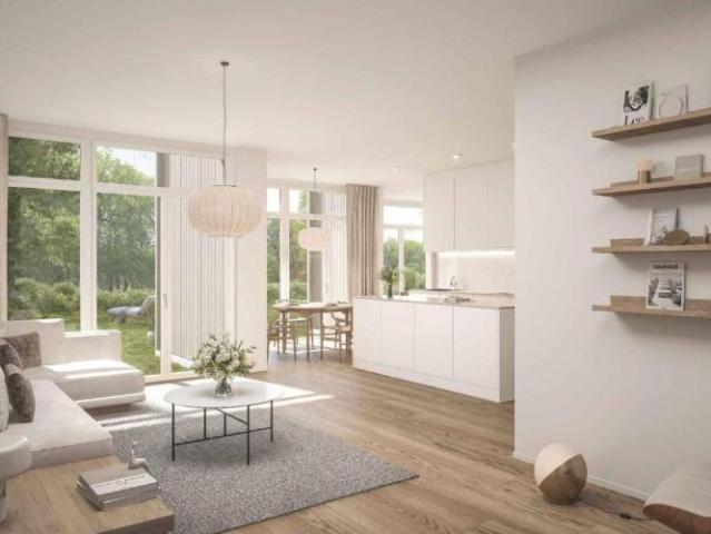 Haus kaufen in Echallens, Waadt