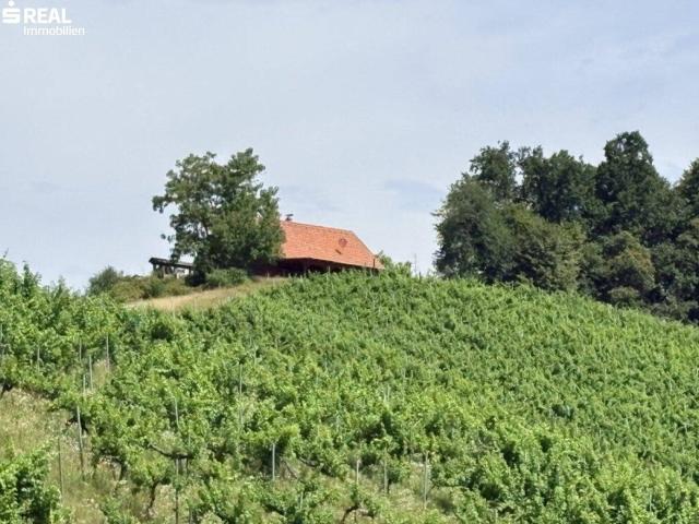Haus kaufen in Eichberg-Trautenburg, Steiermark