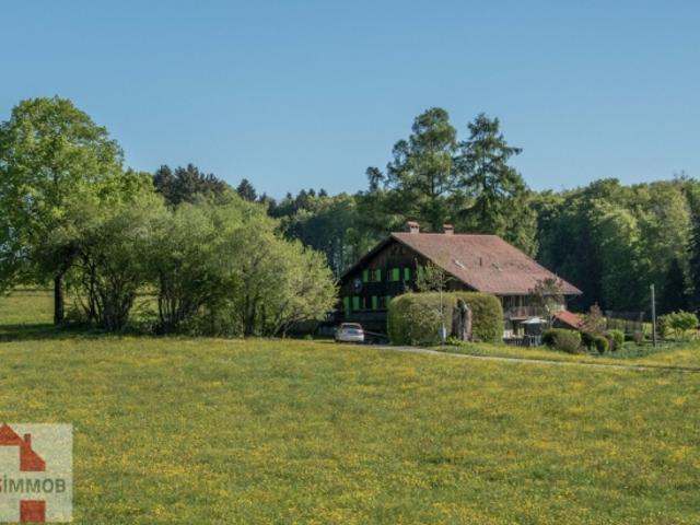 Einfamilienhaus kaufen in Corsier-sur-Vevey, Waadt