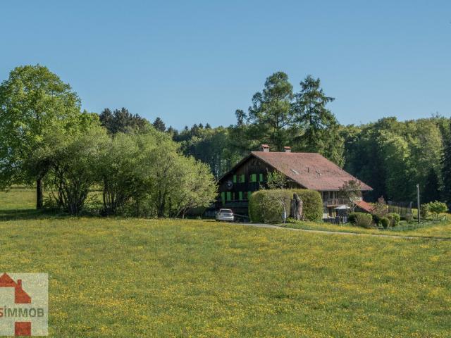Haus kaufen in Corsier-sur-Vevey, Waadt