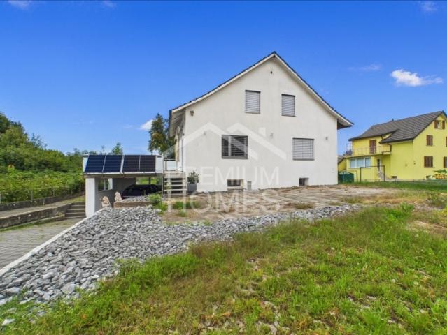 Einfamilienhaus kaufen in Villmergen, Aargau