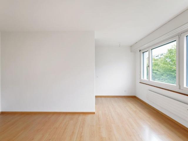 Apartment mieten in Grossbasel, Basel