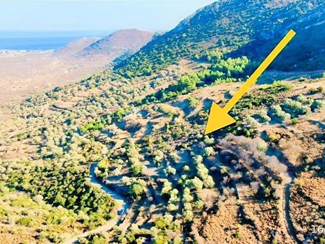Datça, Muğla içerisinde satılık Arsa