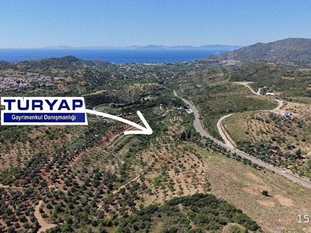 Datça, Muğla içerisinde satılık Arsa