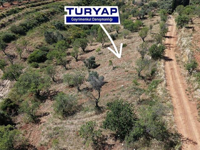 Datça, Muğla içerisinde satılık Arsa