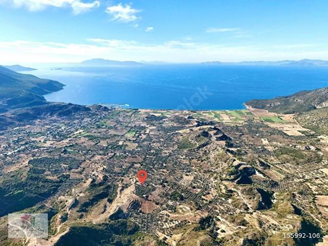 Datça, Muğla içerisinde satılık Arsa