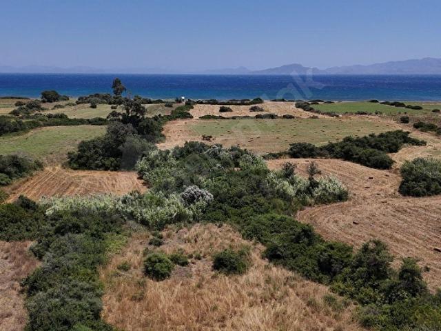 Datça, Muğla içerisinde satılık mülk