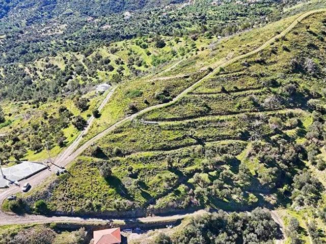 Datça, Muğla içerisinde satılık Arsa