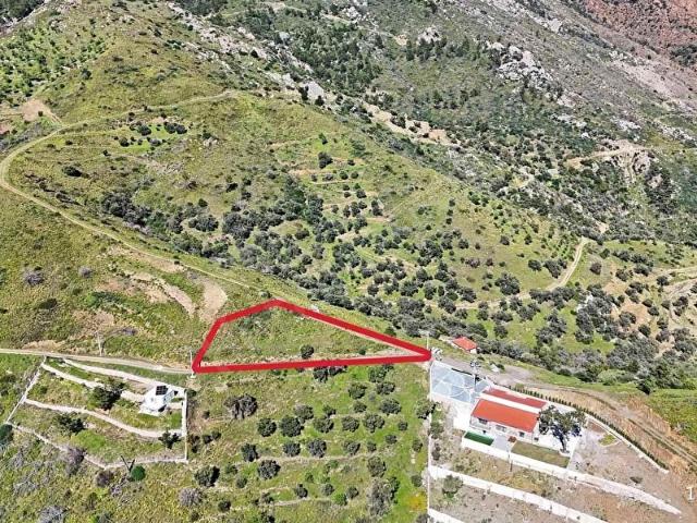 Datça, Muğla içerisinde satılık mülk