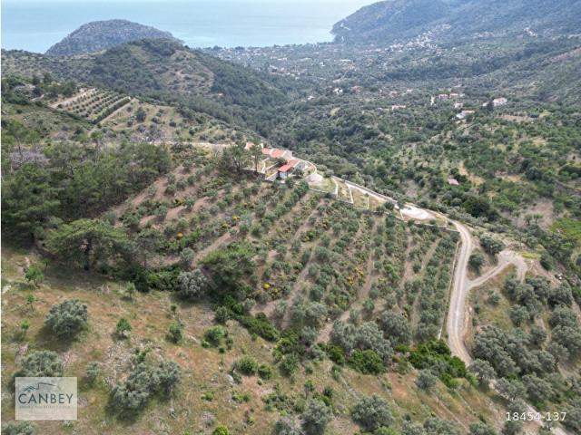 Datça, Muğla içerisinde satılık mülk