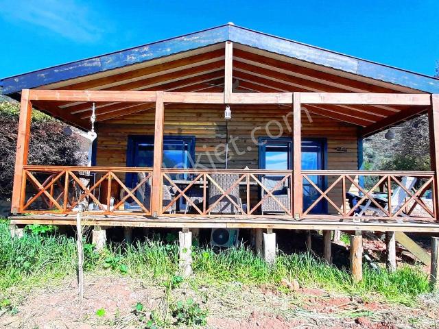 Datça, Muğla içerisinde kiralık Bahce kati
