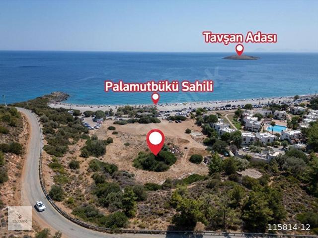 Palamutbükü, Datça içerisinde satılık Arsa