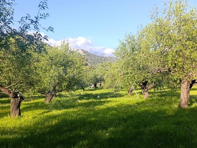 Datça, Muğla içerisinde satılık Arsa