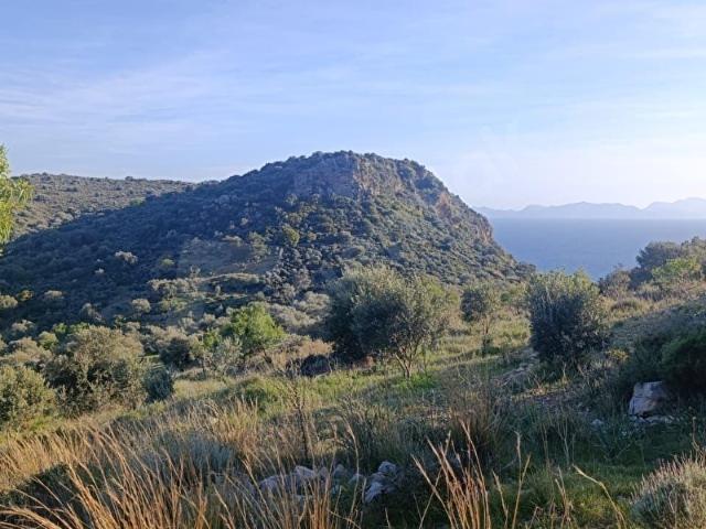 Datça, Muğla içerisinde satılık Arsa