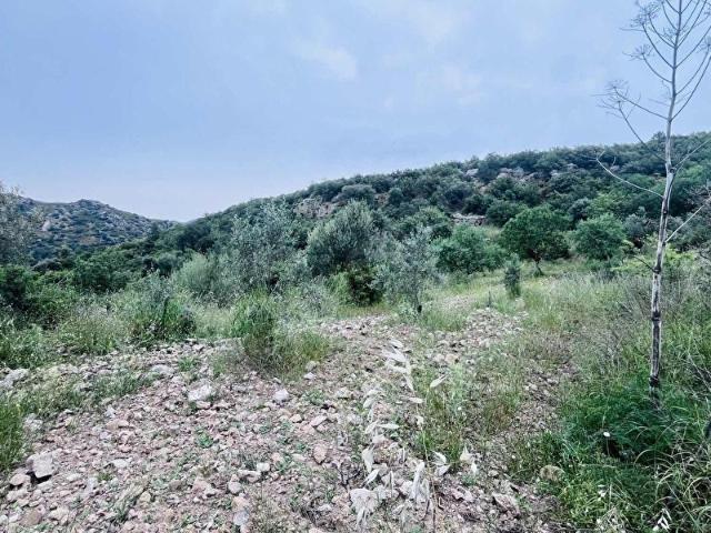 Datça, Muğla içerisinde satılık Arsa