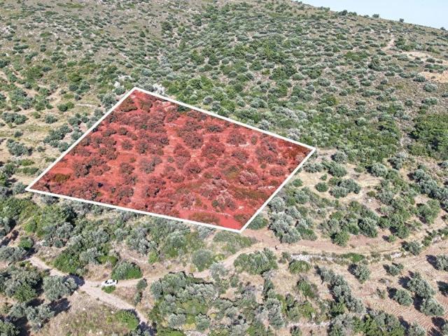 Datça, Muğla içerisinde satılık mülk
