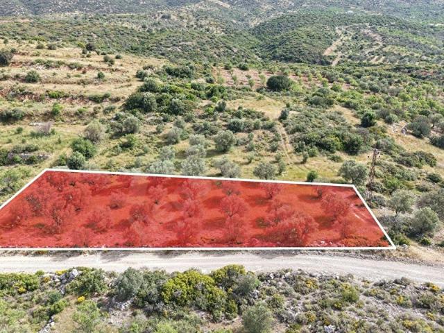 Datça, Muğla içerisinde satılık mülk