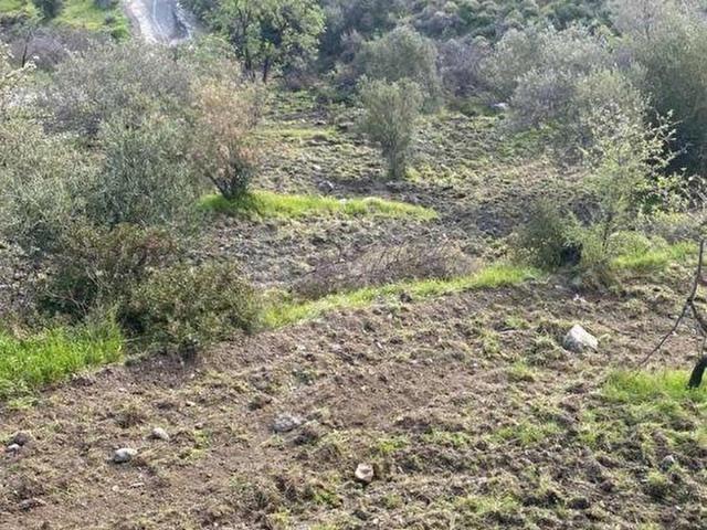 Belen, Datça içerisinde satılık Arsa