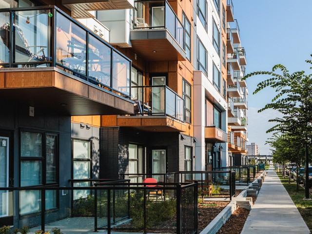 Apartment for rent in Wedgewood, Alberta
