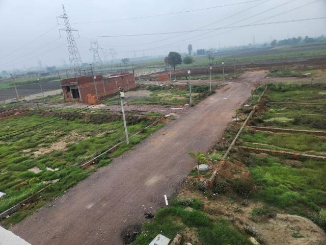 Land for sale in Jharli, Arunachal Pradesh