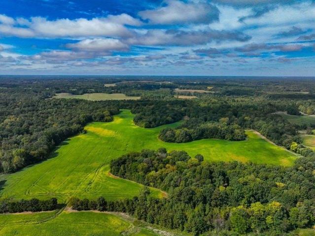 Farm for sale in Mayfield, Graves County
