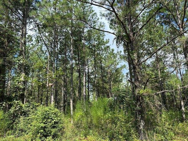 Land for sale in Laurel, Mississippi